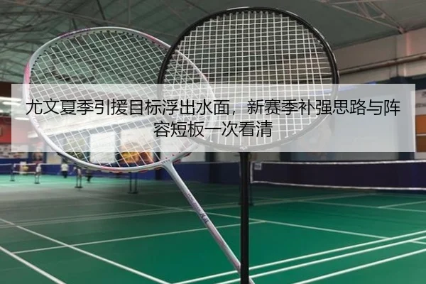 尤文夏季引援目标浮出水面，新赛季补强思路与阵容短板一次看清